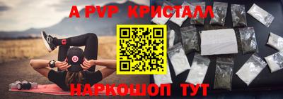 молекула духа Славянск-на-Кубани